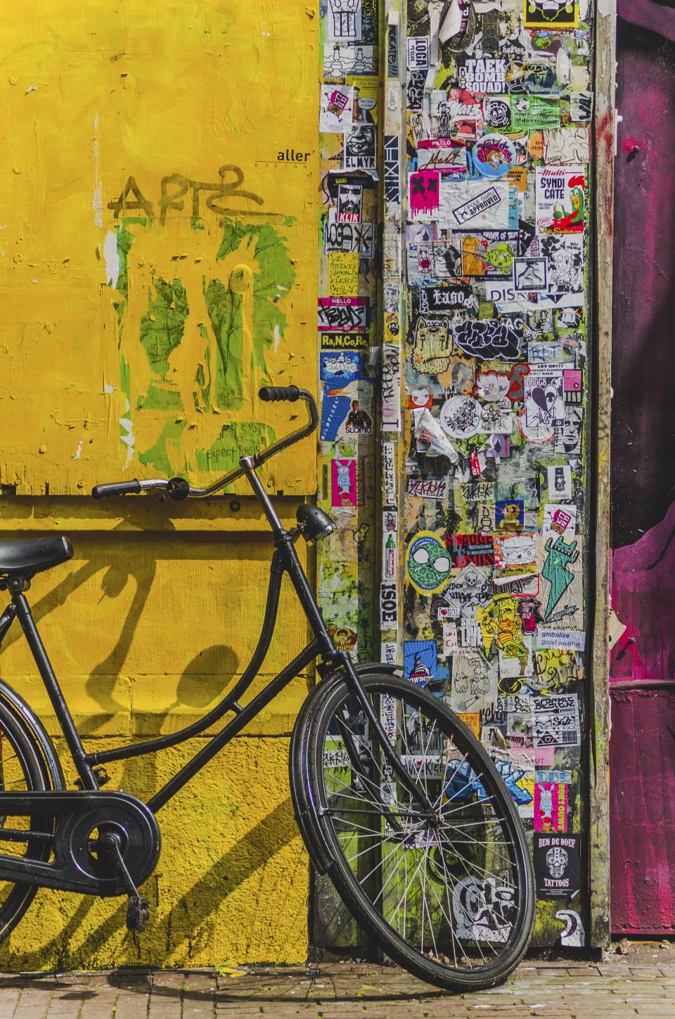 Bicycle Bike