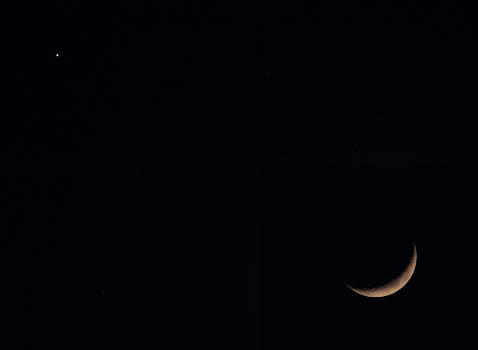 Moon Night