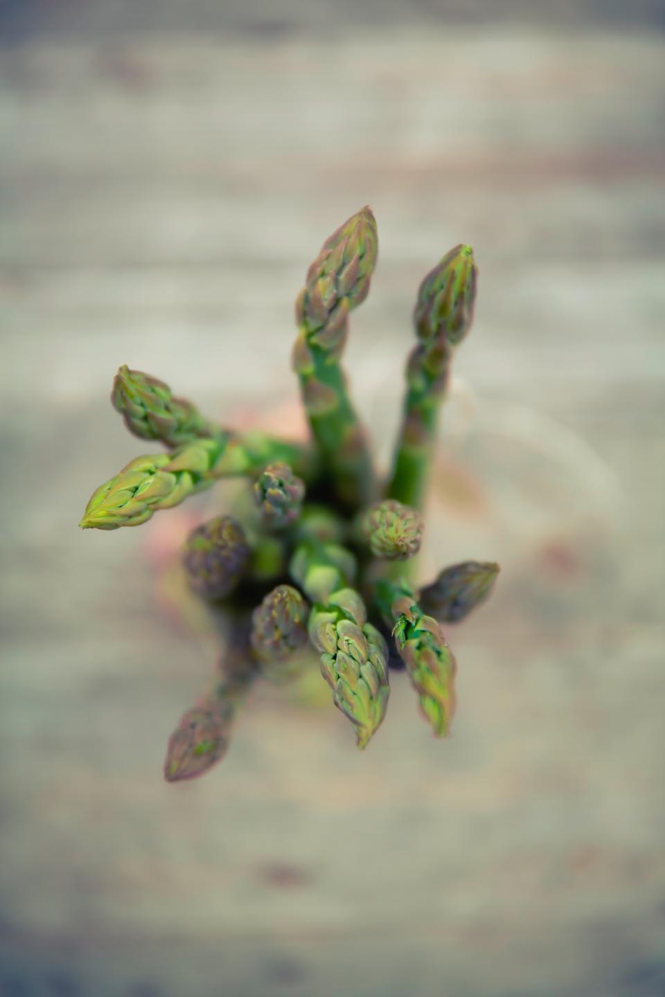 Asparagus Vegetables