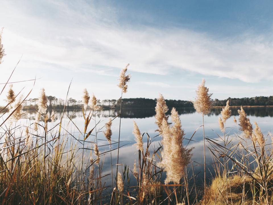 Nature Landscape