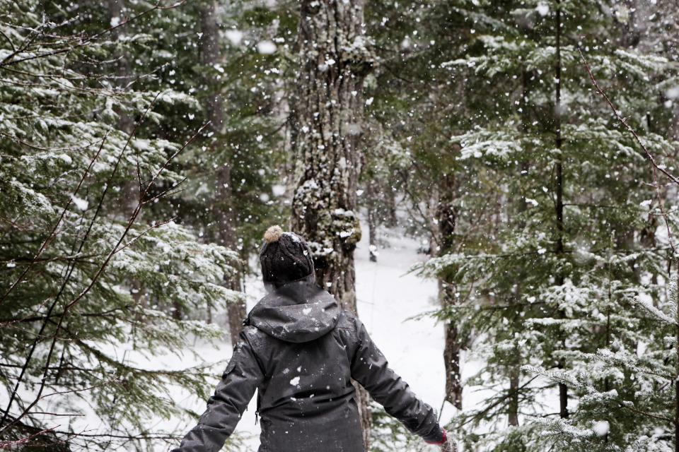 Snow Snowing