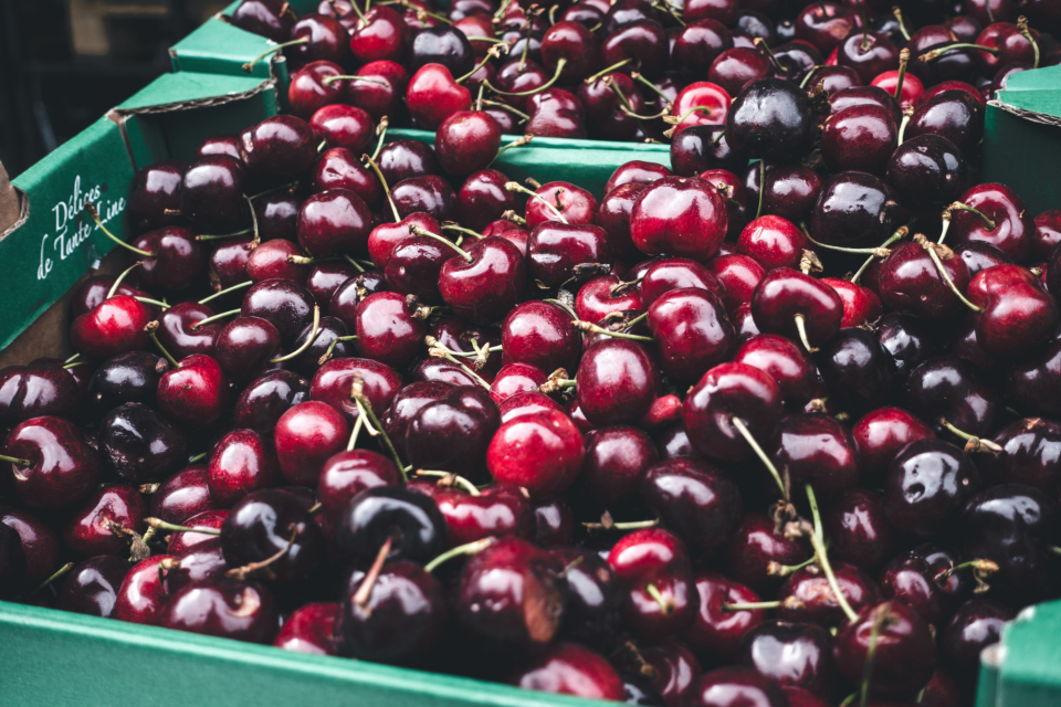 Cherries Red