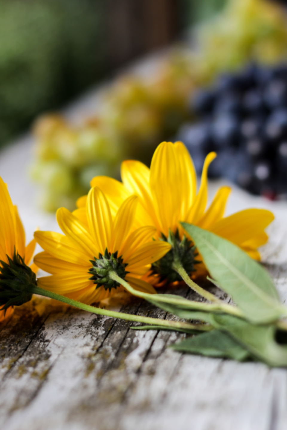 Rustic Flowers