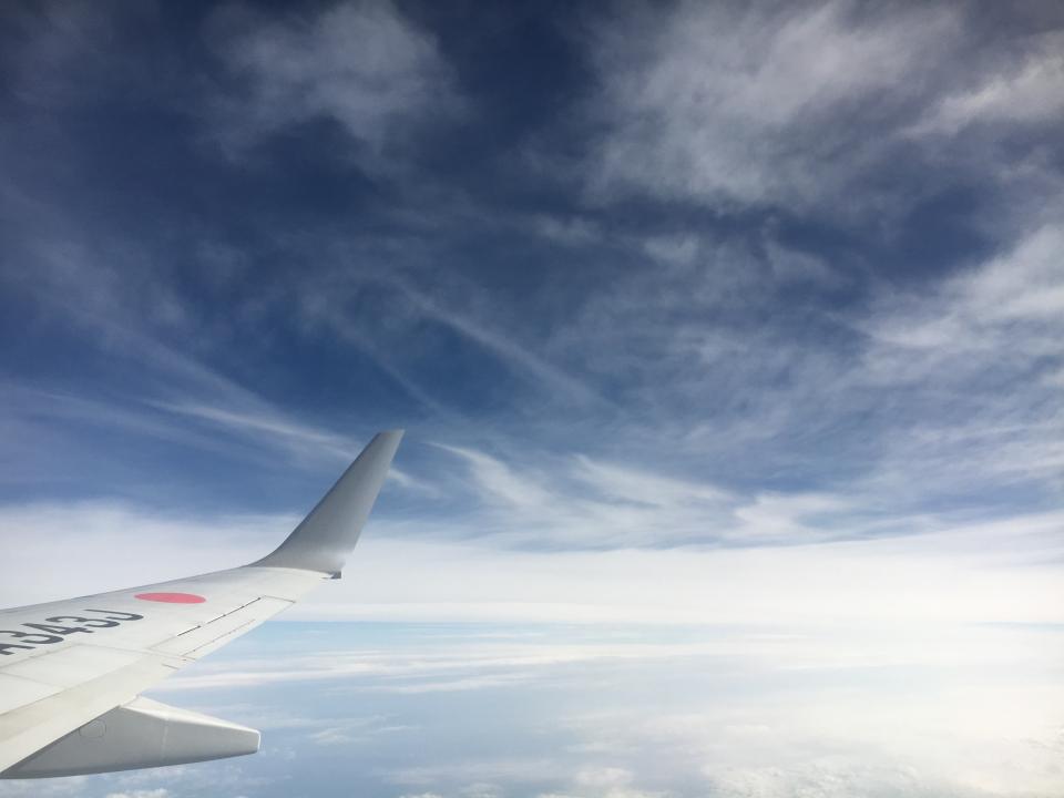 Airplane Airline