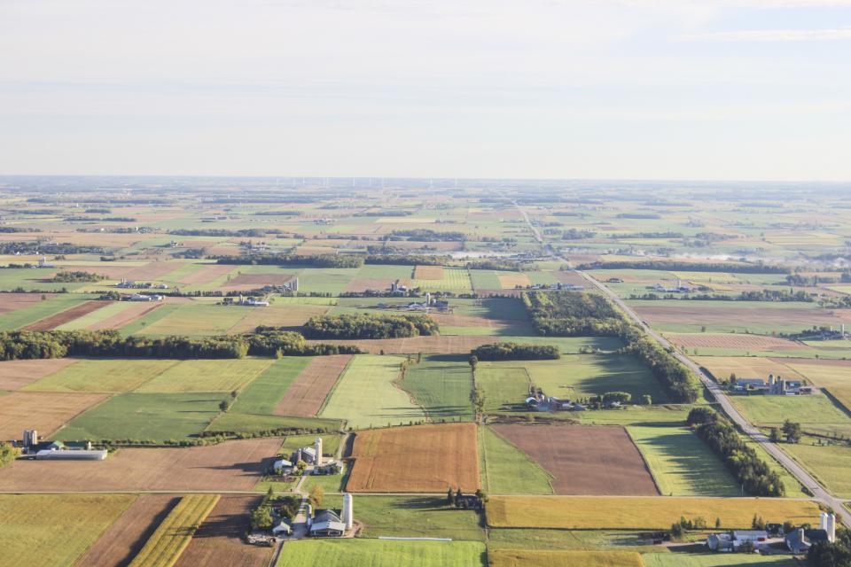 Nature Landscape