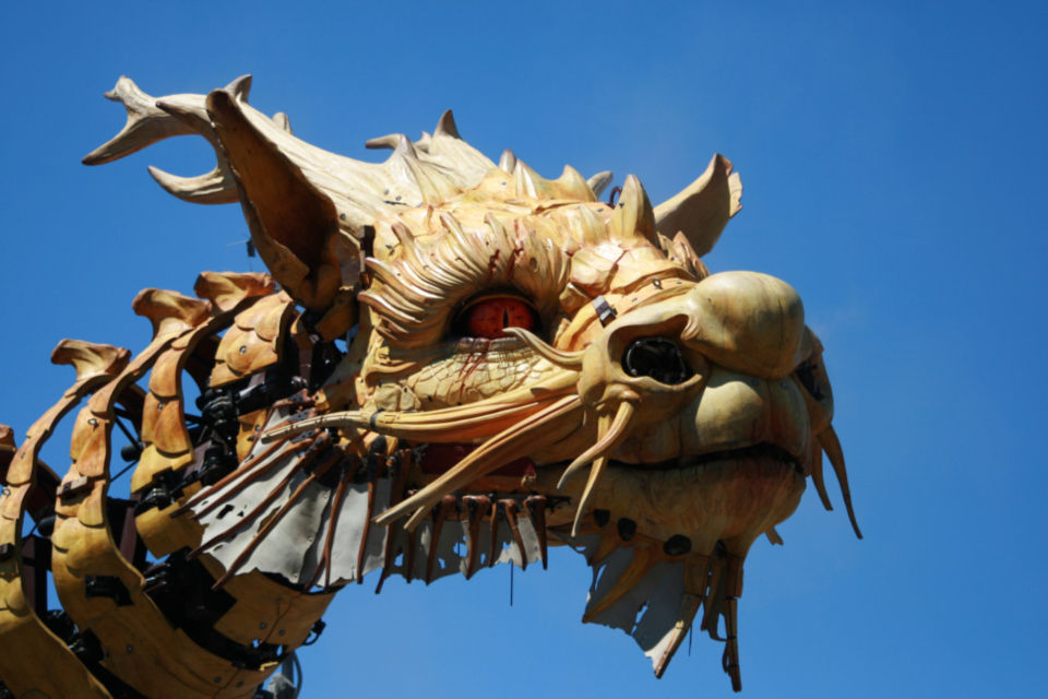 Dragon Head
