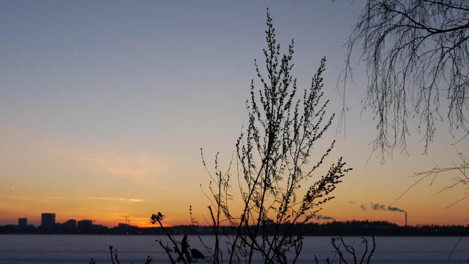 Evening Sky