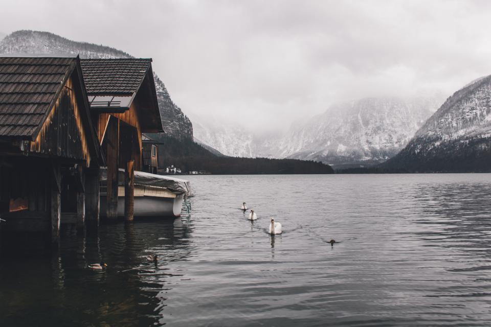 Nature Landscape