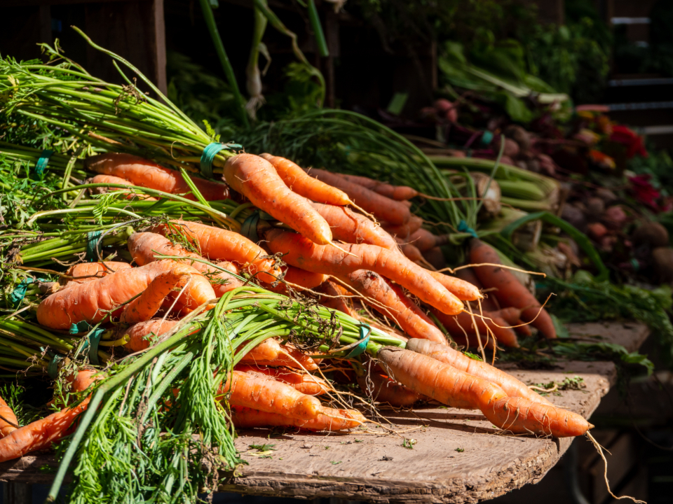 Carrots Vegetable