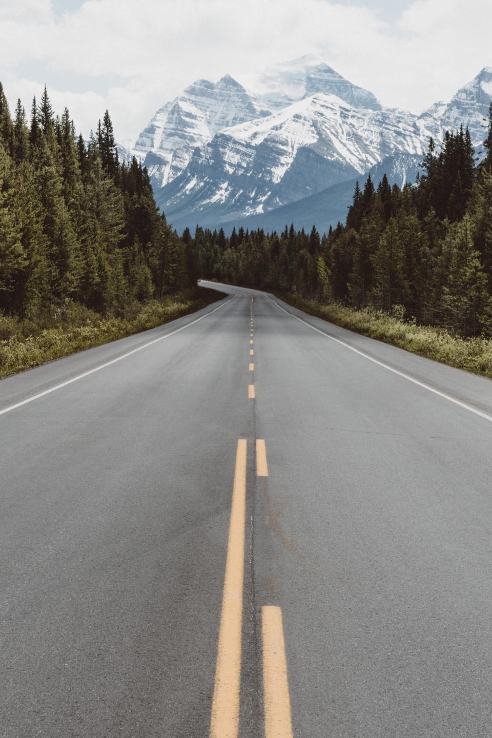 Nature Road