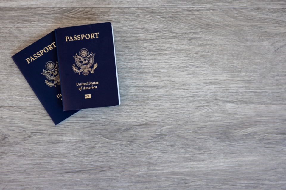 Passport Table