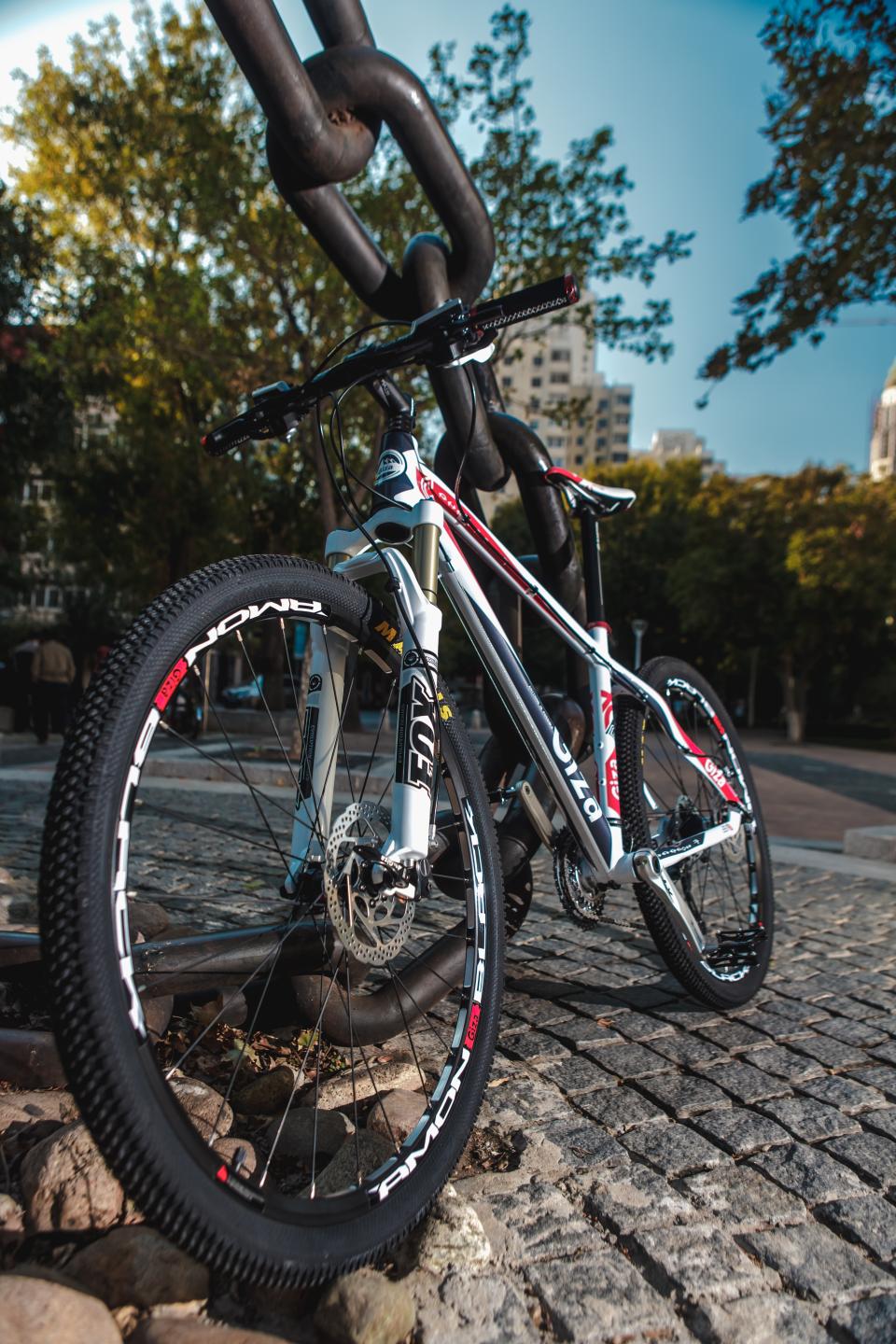 Bicycle Bike