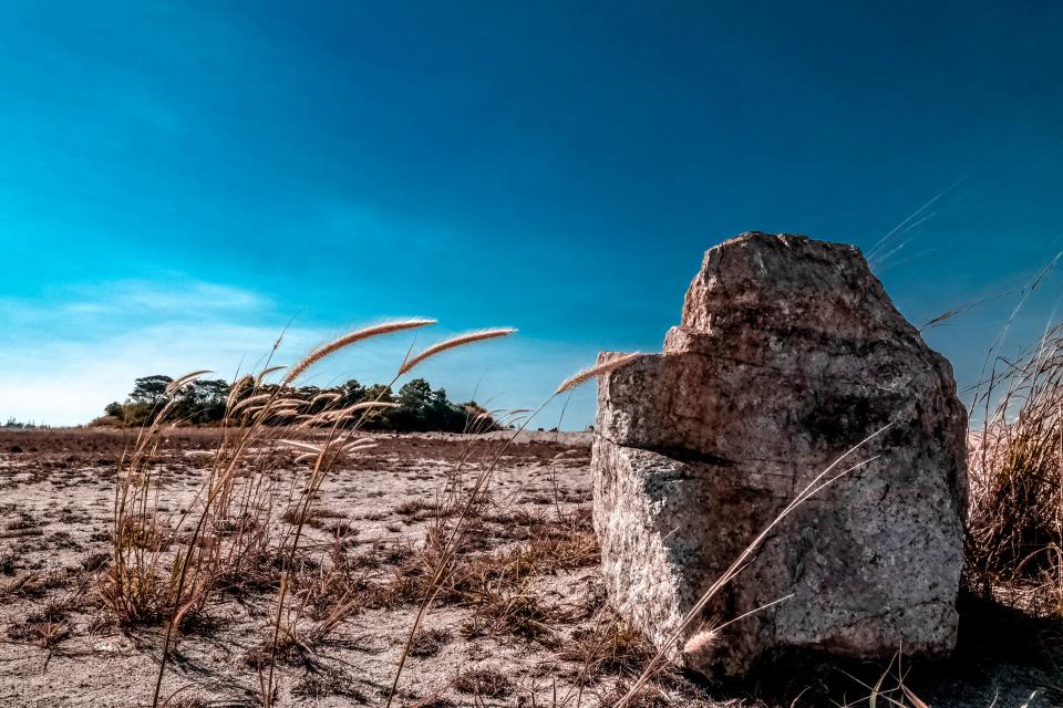 Nature Desert