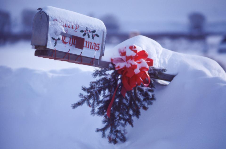 Snow Winter