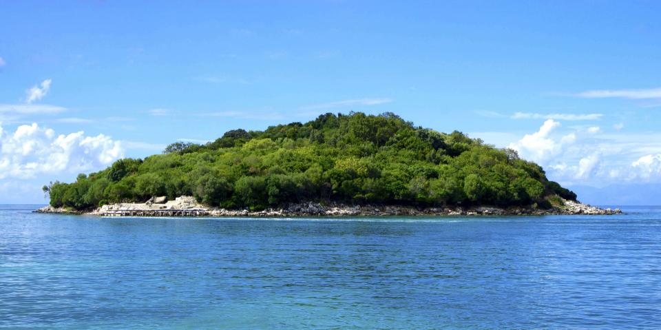 Island Trees