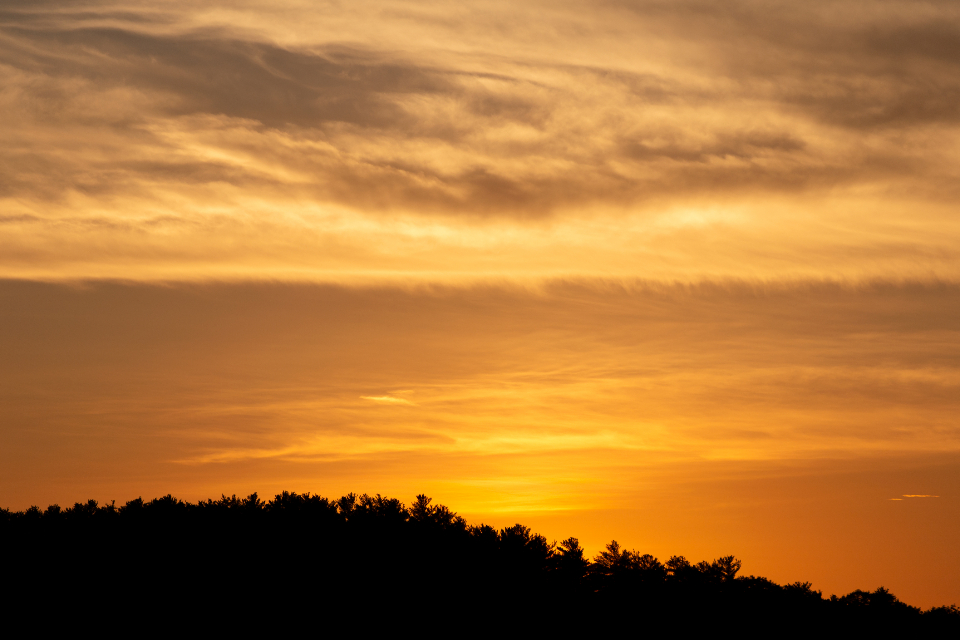 Orange Sunset