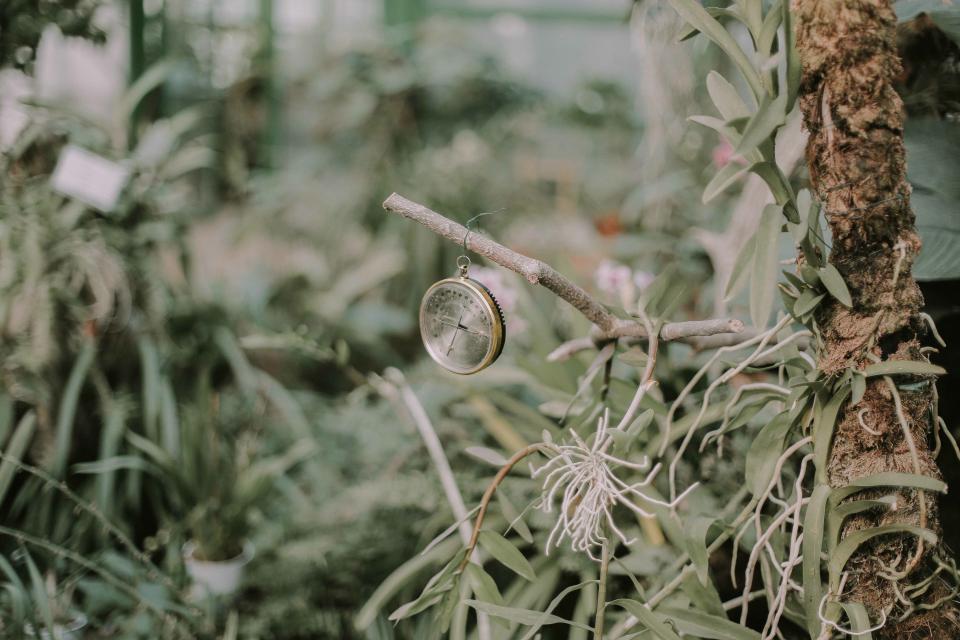 Nature Green