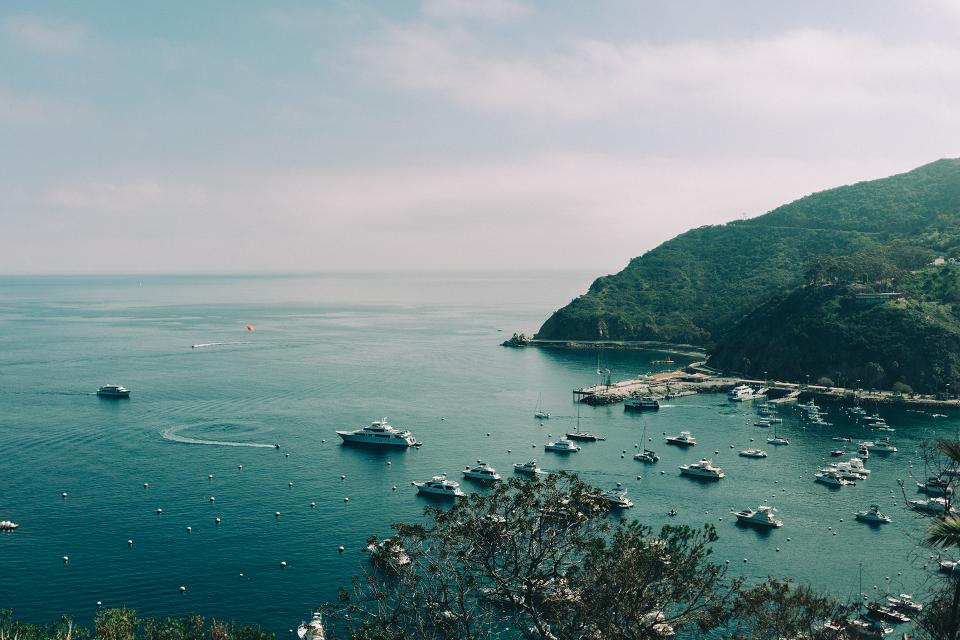 Catalina Harbor