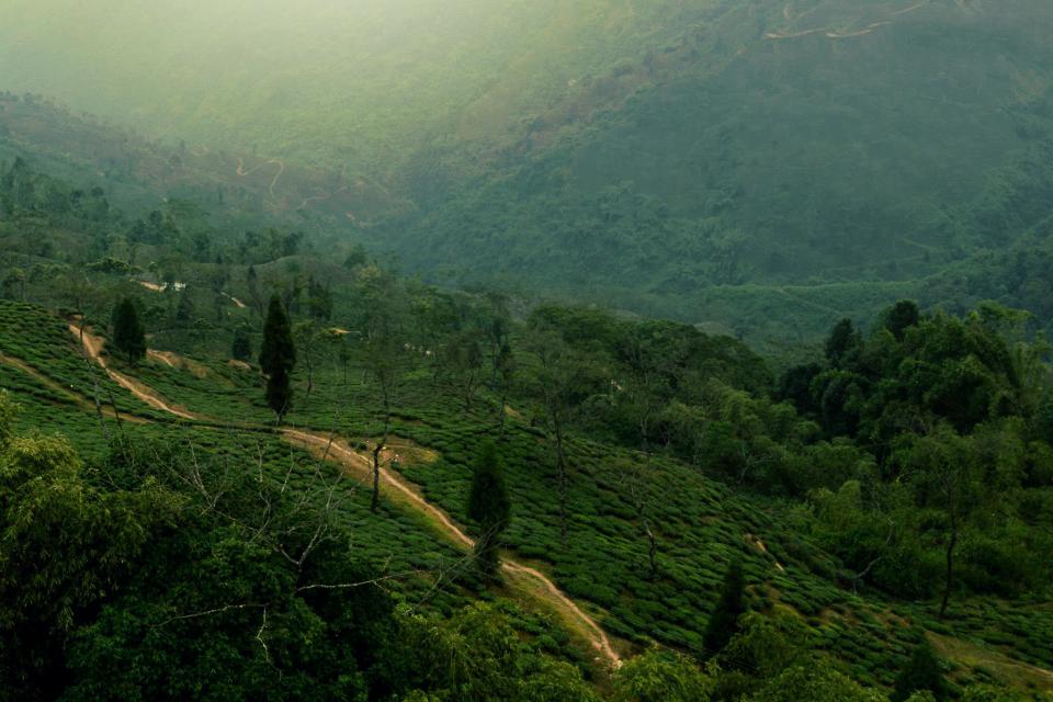 Nature Landscape