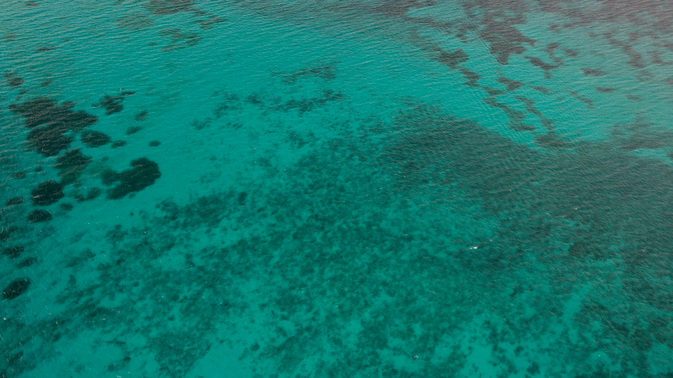 Ocean Water