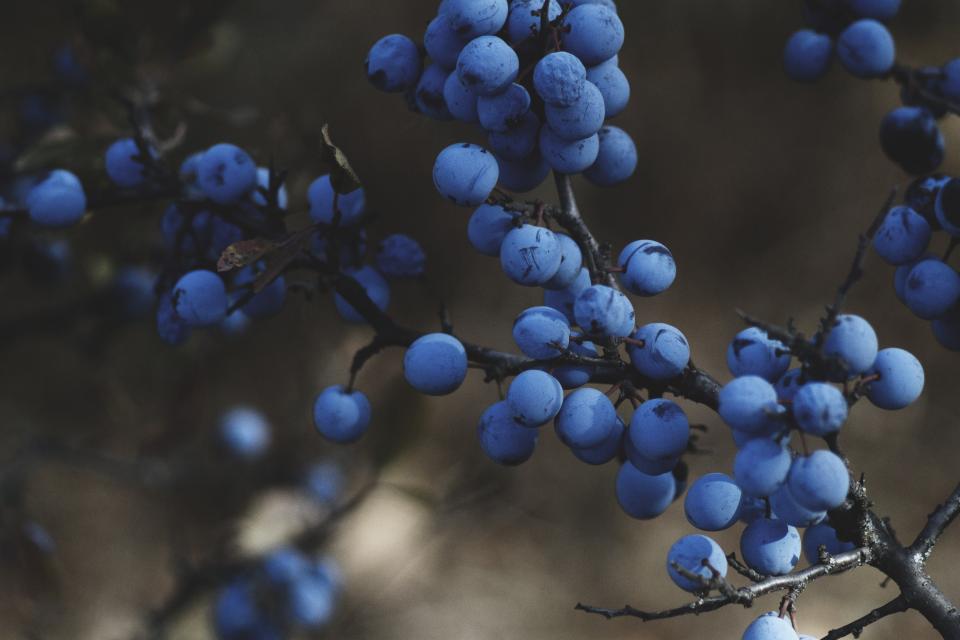 Nature Fruits