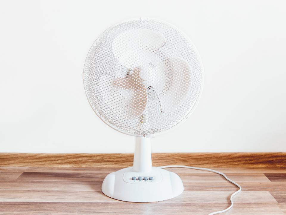 White Fan