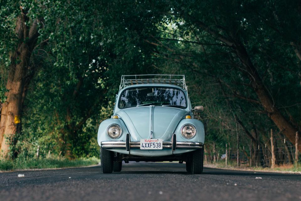 Transportation Bug
