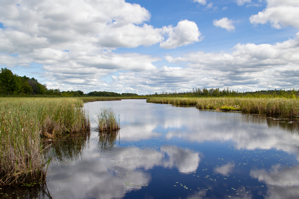 Lake Water
