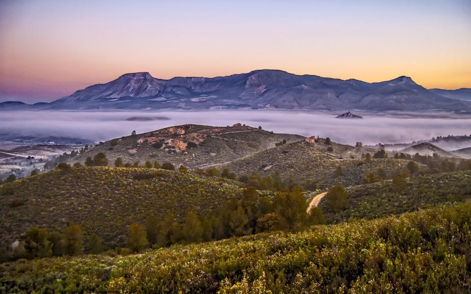 Nature Landscape