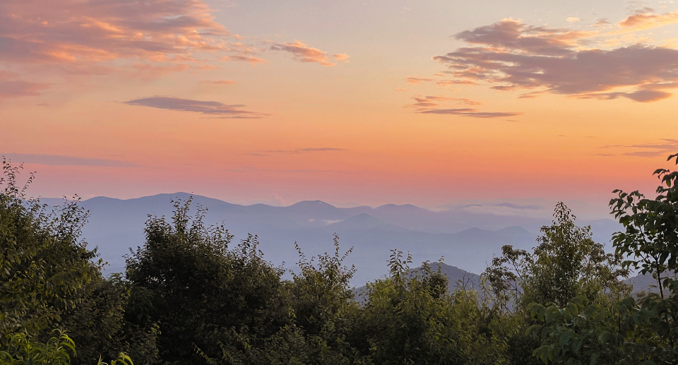 Sunset Trees