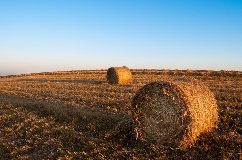 Hay Bales