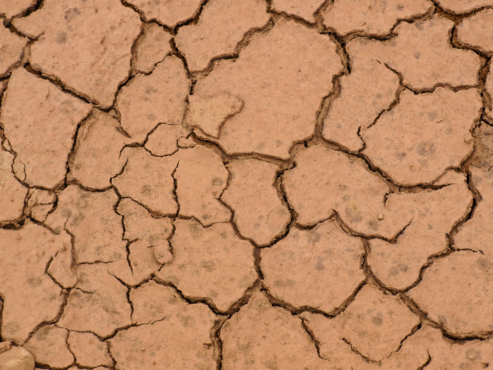 Dirt Texture