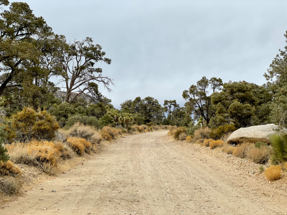 Dirt Road