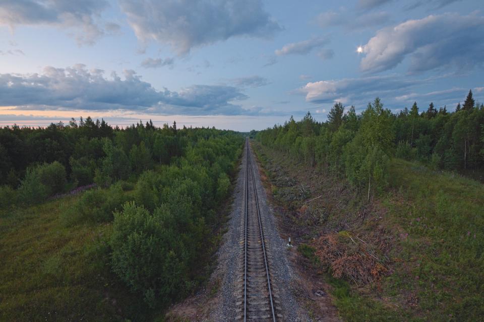 Trees Railway