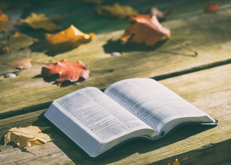 Bible Book