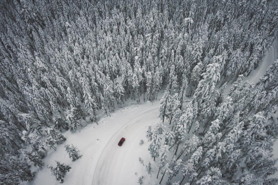 Snow Winter