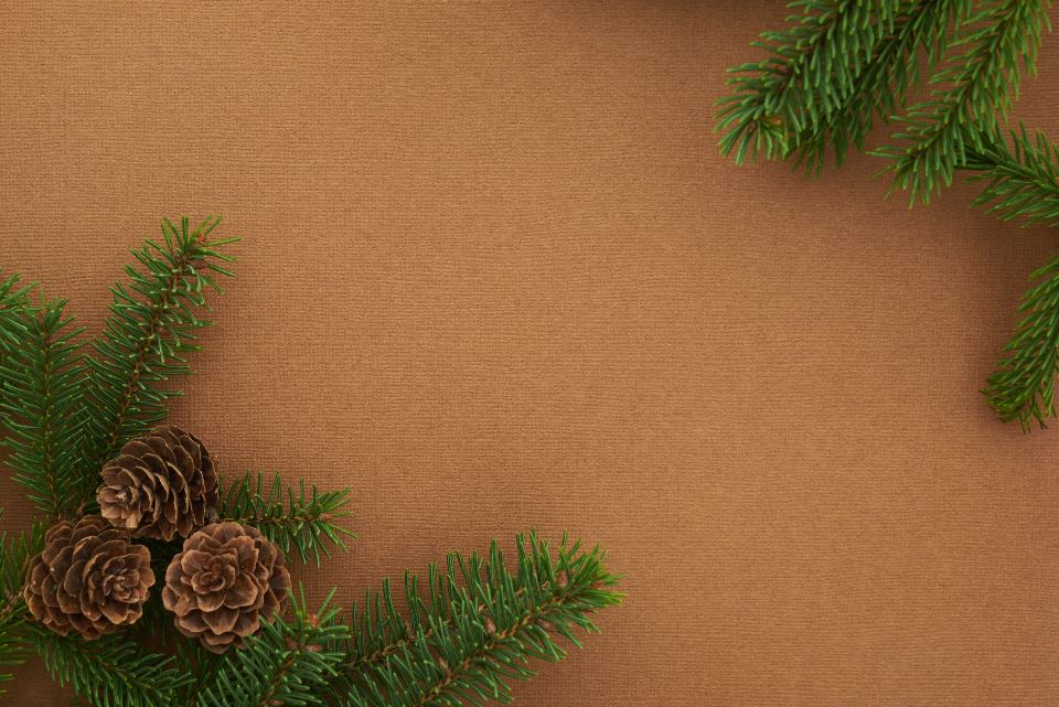 Seasonal Backgrounds