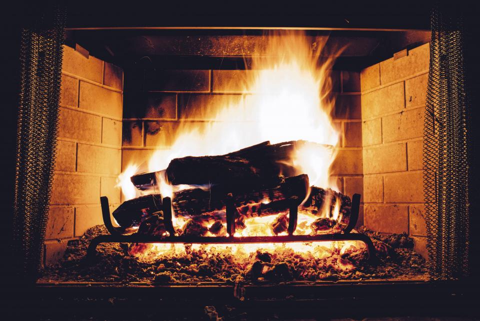 Fire Woods