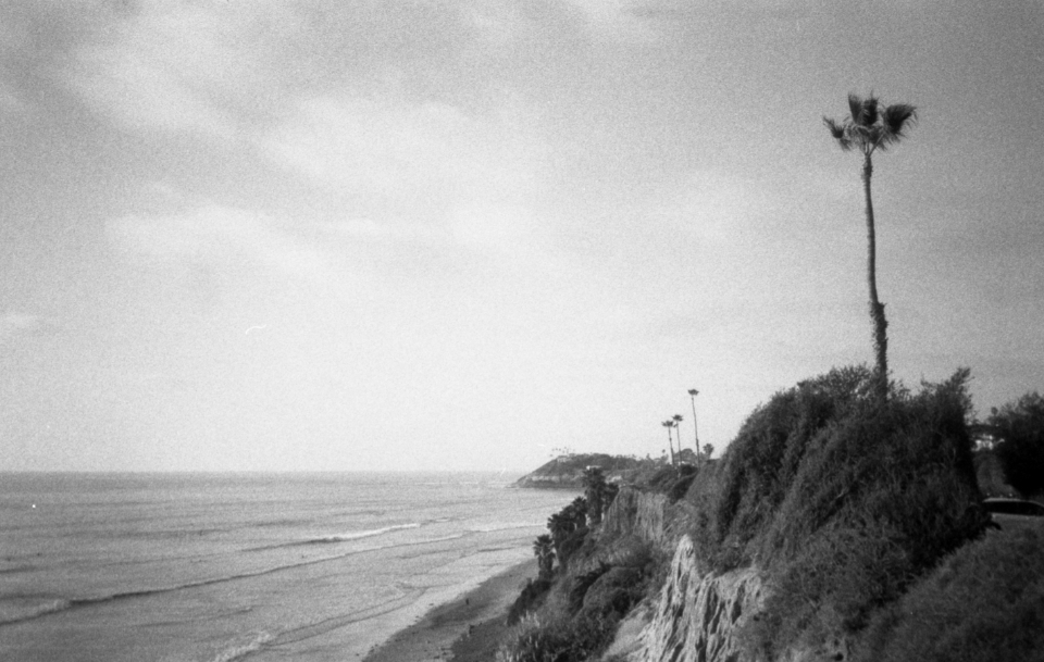 Beach Coast
