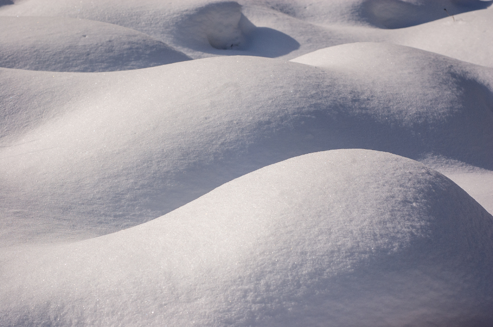 Snow Texture
