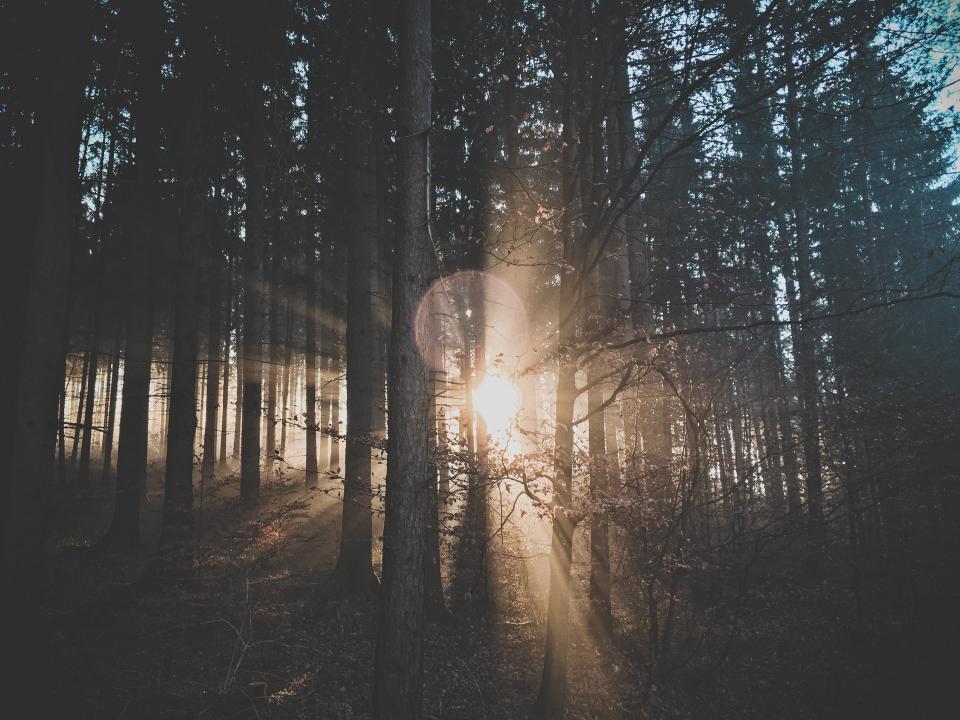 Nature Landscape