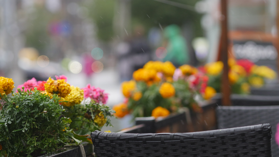 Flowers Background