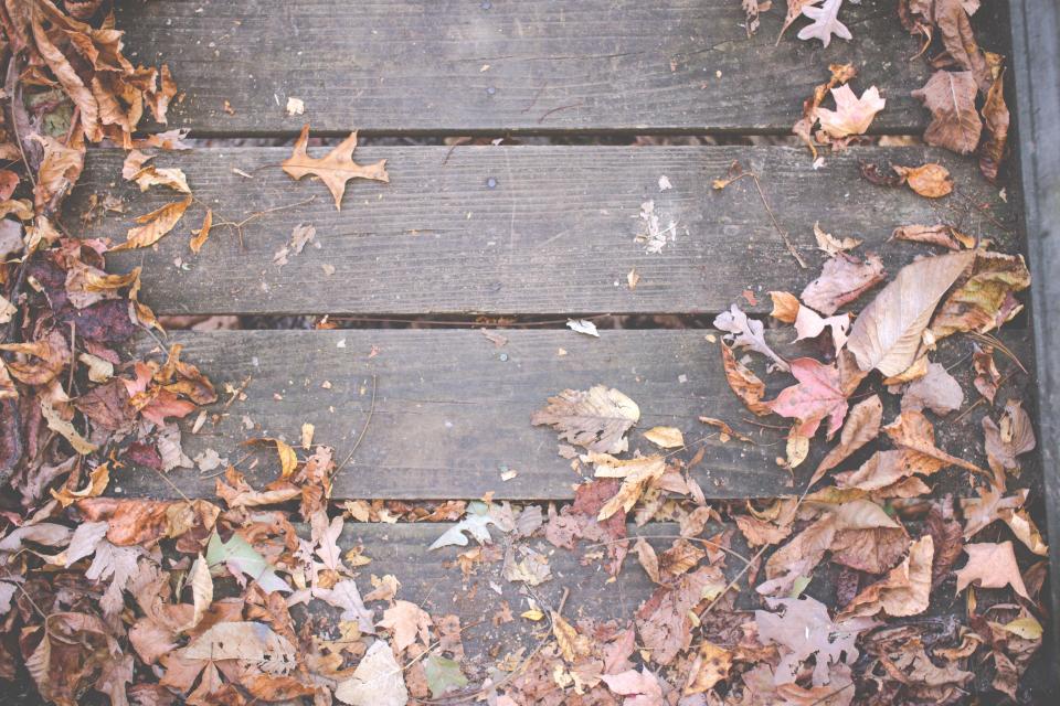 Wood Deck