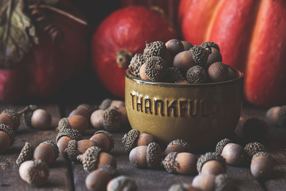 Acorn Nuts