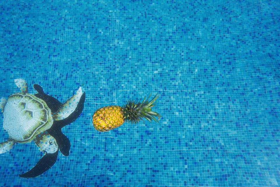 Pineapple Dessert