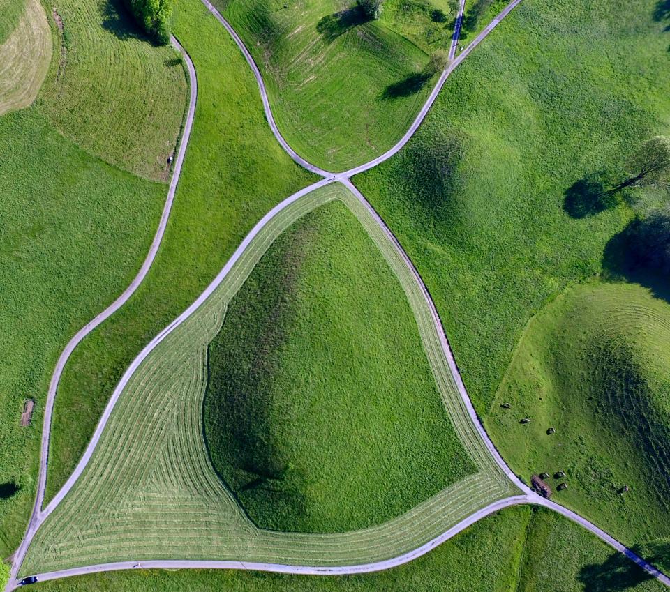 Green Field