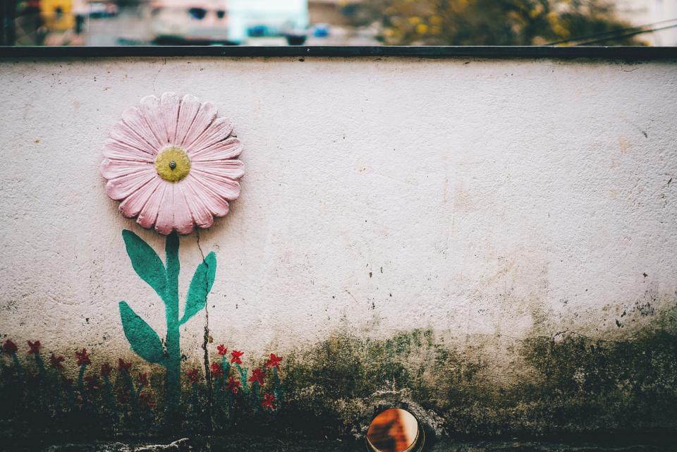 Flower Pink