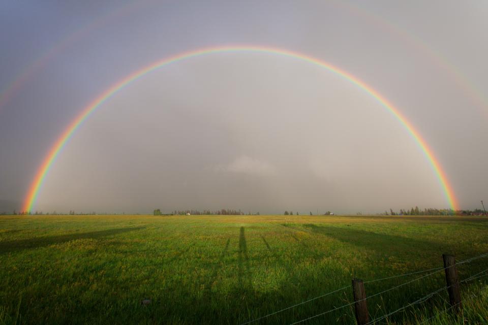 Nature Landscape