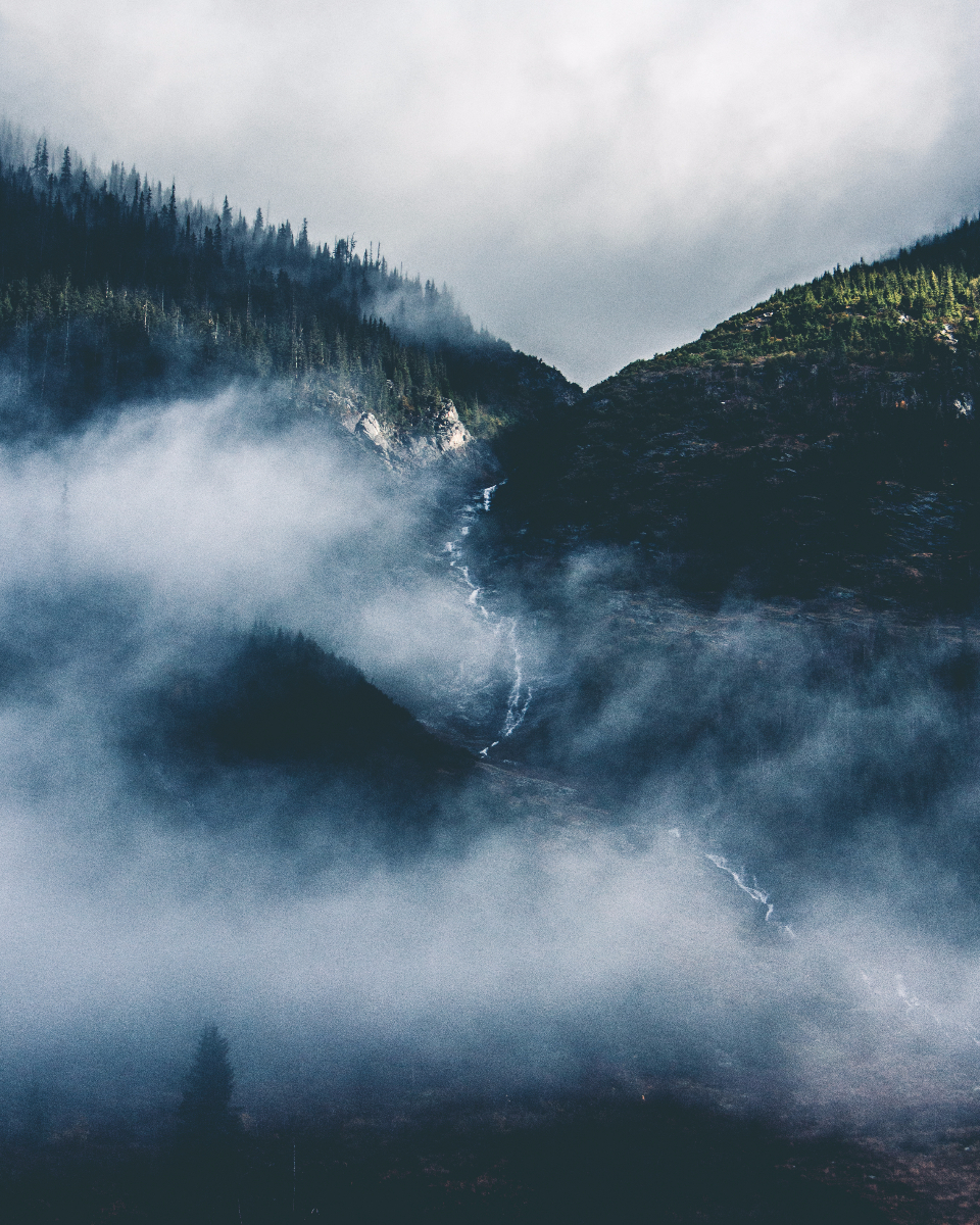 Landscape Foggy