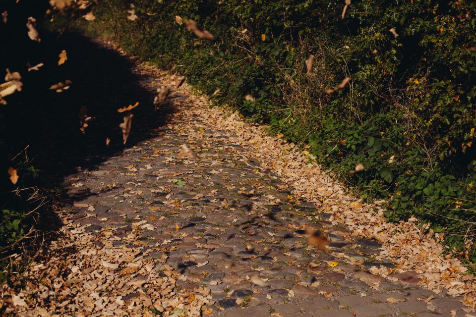 Cobblestone Path